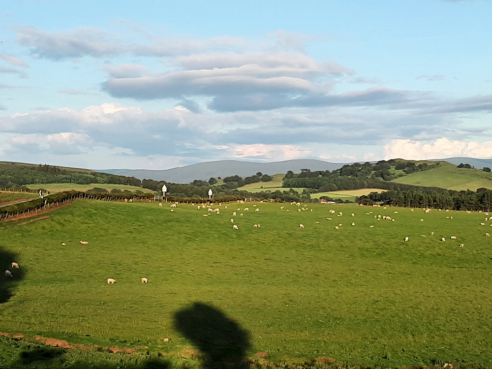The view southeast towards Bigger and Broughton Heights
